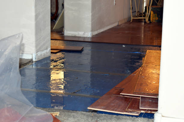 Professional Basement Flood Cleanup technician working in La Monte, MO